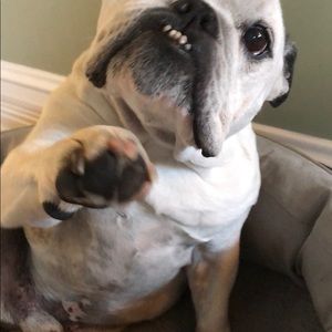 Meet your Posher, Melissa